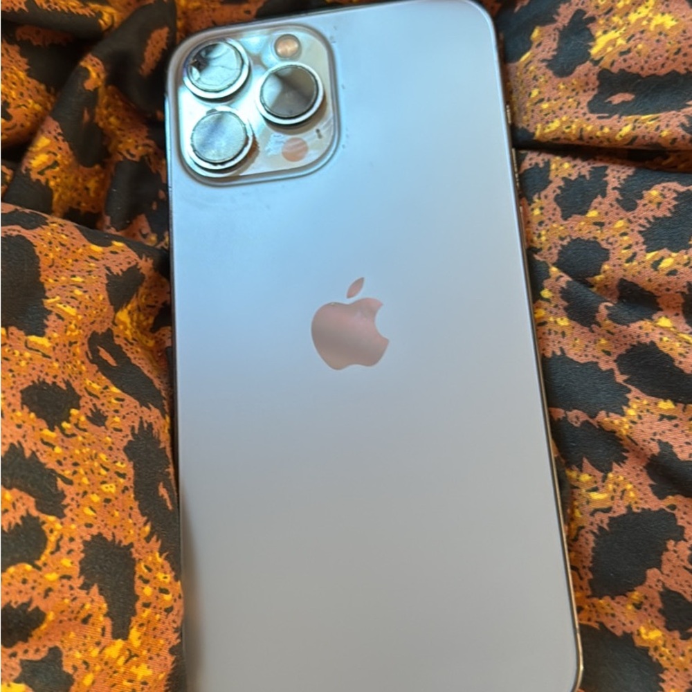 IPhone 13 Pro Max!